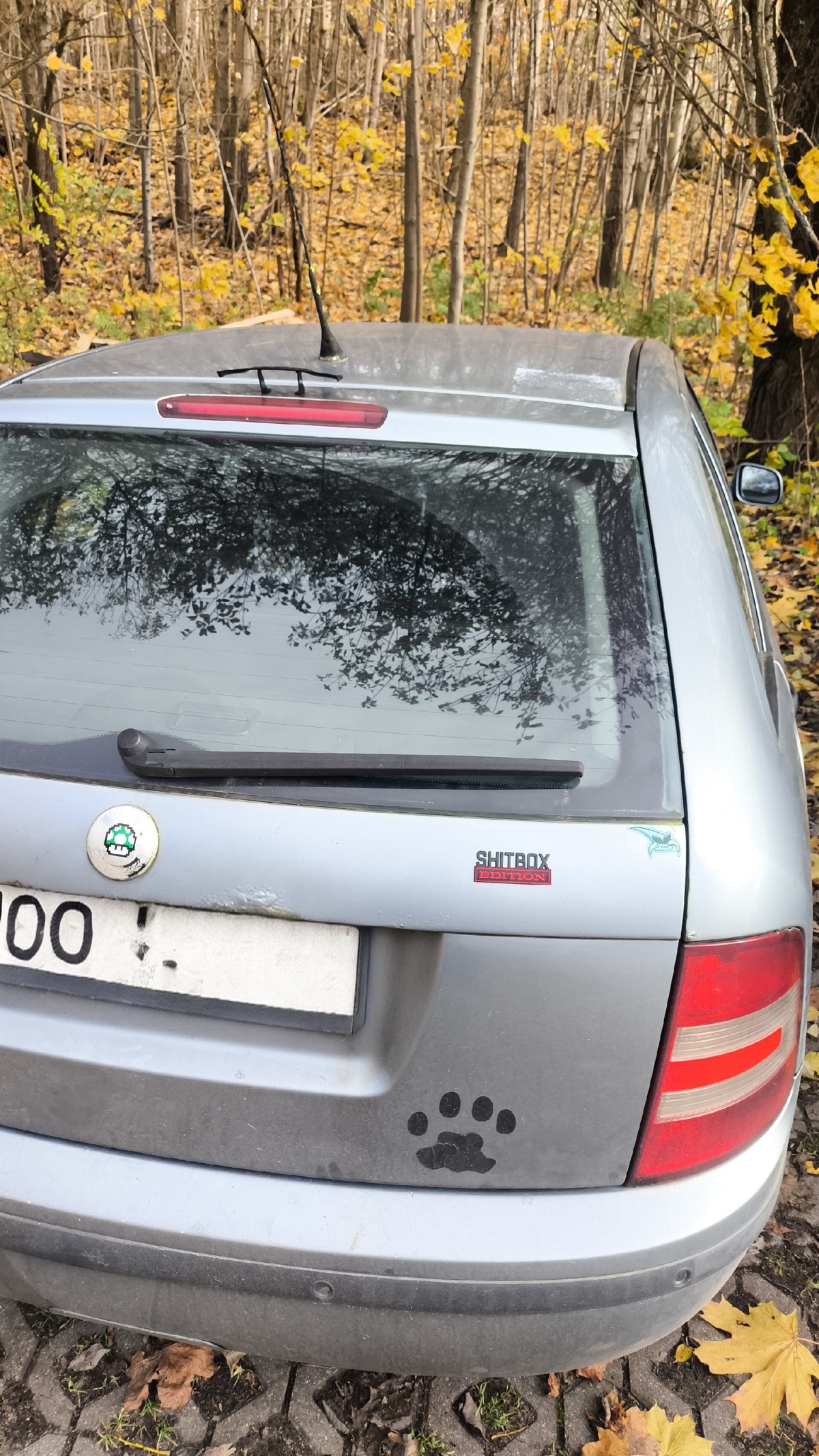 5e77cb25-acf6-44ab-9c94-da4ac26631d7