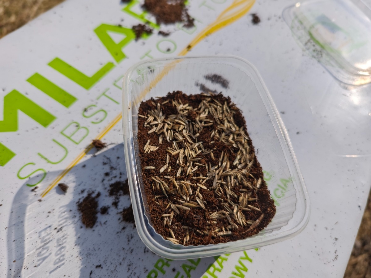 8bd9190f-f08d-4794-a50e-80863d402d39