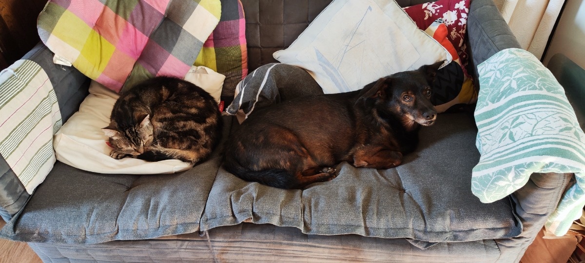 7b63d177-2c95-46d9-94b8-bef199a0ace1