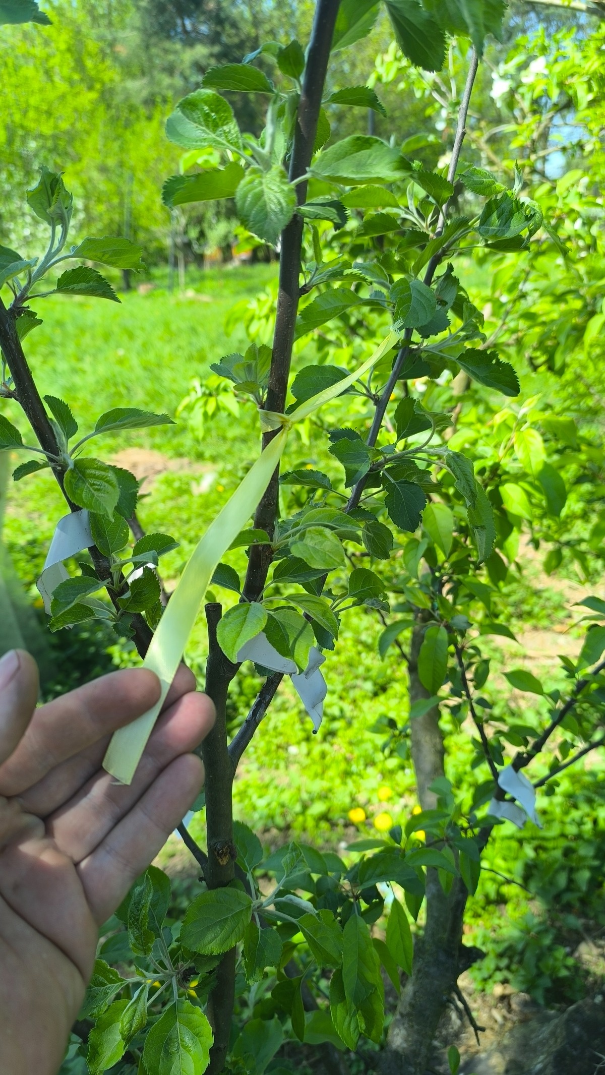 ead81705-0b0a-47ee-8825-a3067d8e892f