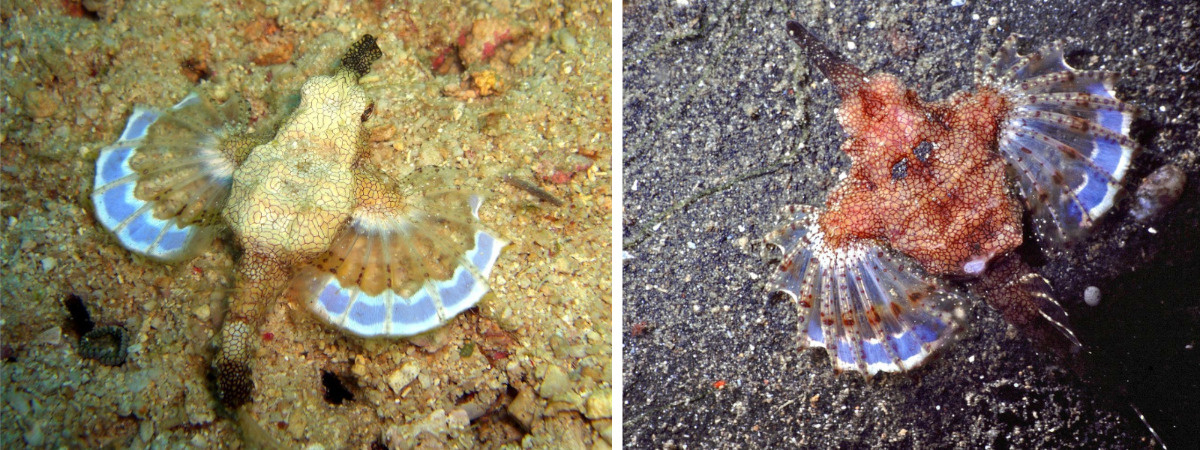 dadf2e82-9da8-4ac4-85b6-934d306e38c5