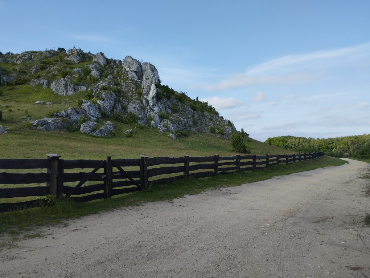 c2e752f6-4474-468d-bf02-7afaadb278b2