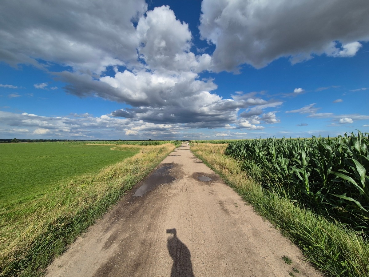 b001d774-167a-4f44-aeed-fd7b26d336e1