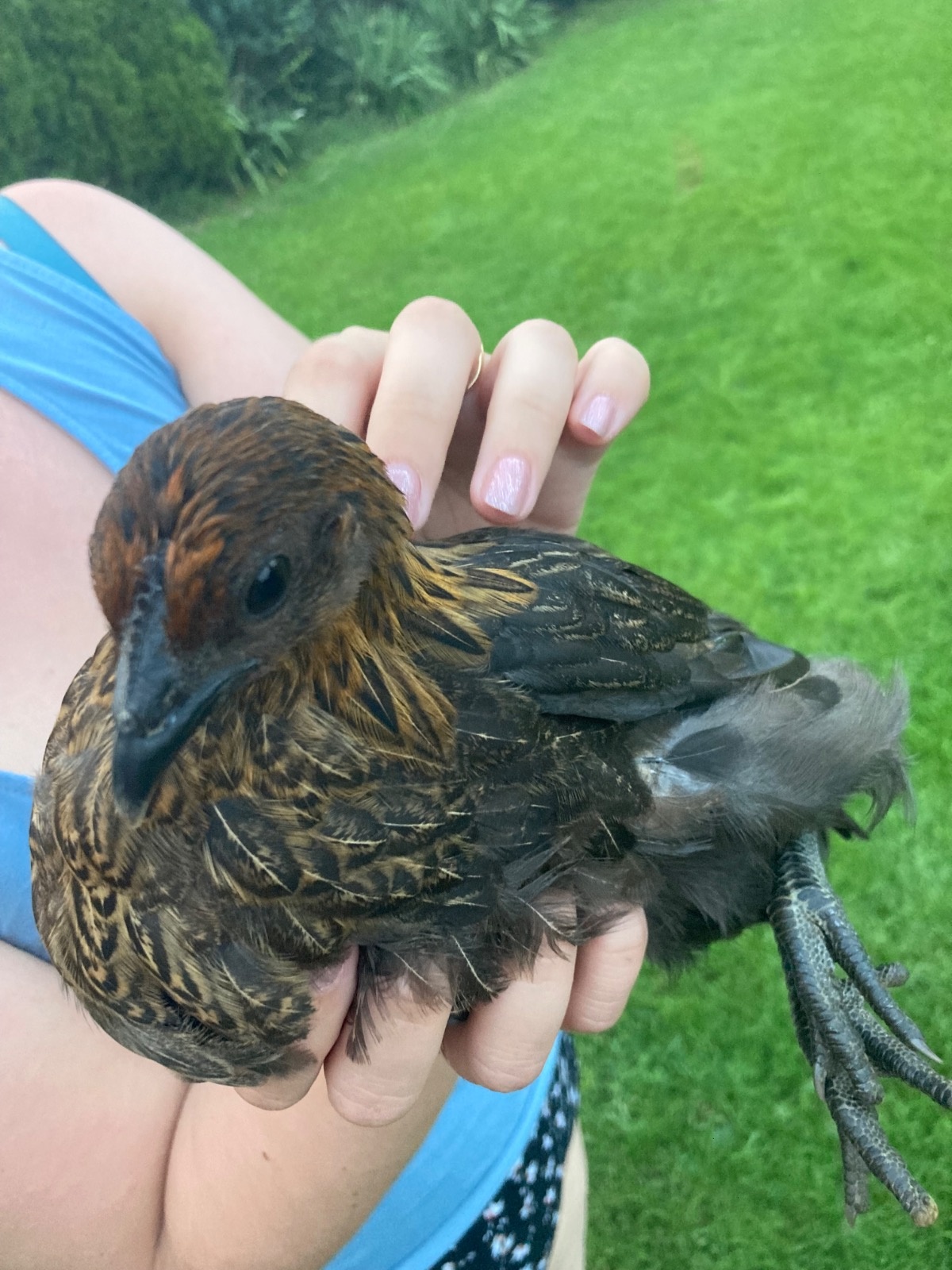 444a5eed-f44a-4432-8fad-fdd5a69faed7