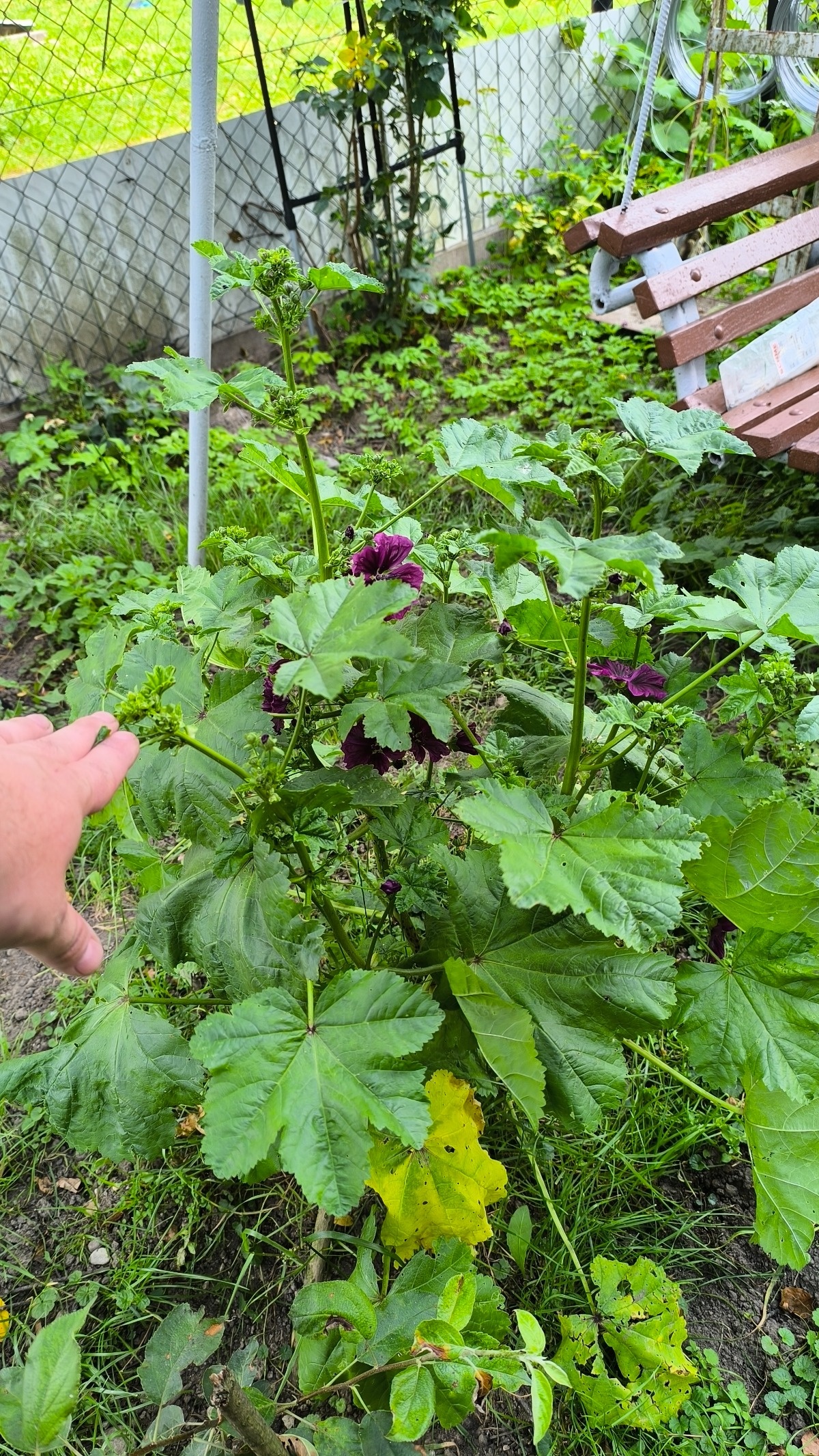 d422c00b-bbda-4a46-9f5f-af14ac0d4856