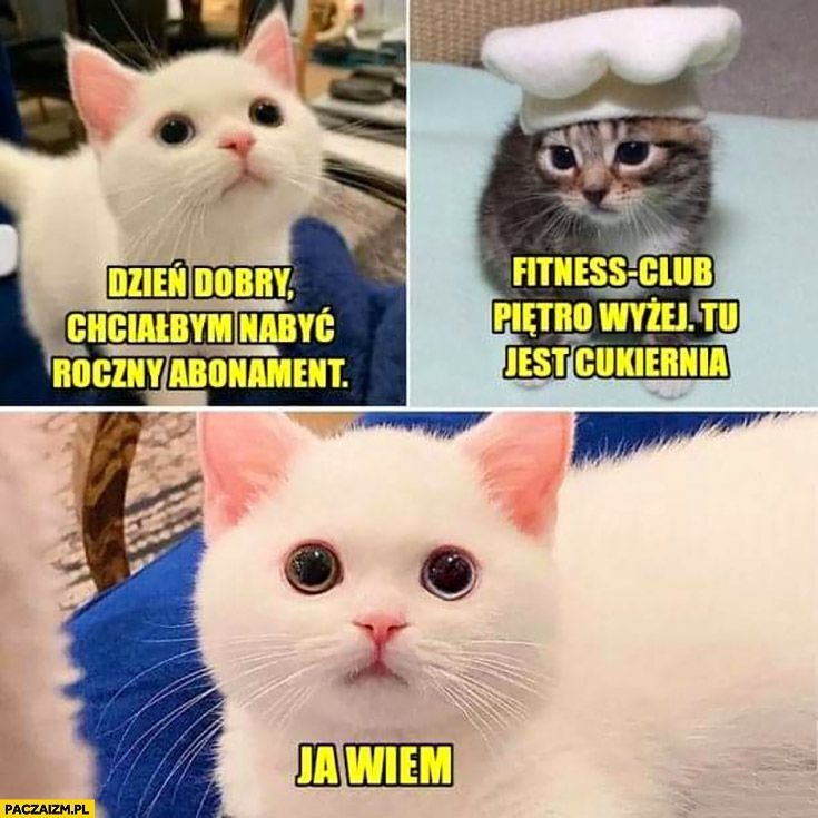 f182869a-667a-40ed-8981-58a70421d91a