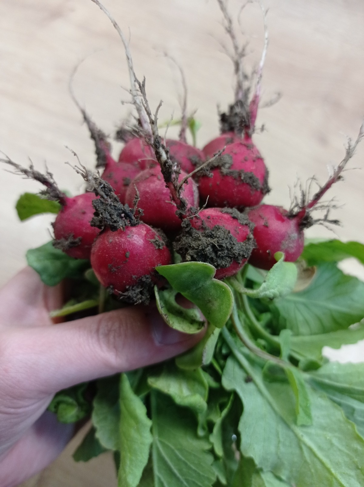 3c63fdc9-d13b-49d7-8f32-ebc87577ee74