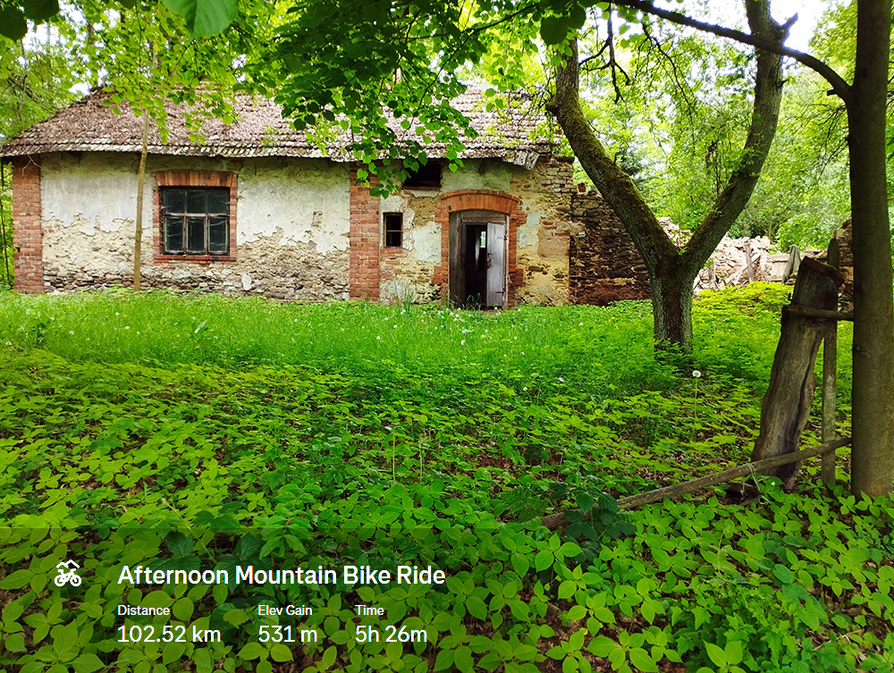 e8324ab9-0e60-4e97-bd7f-a43e28eb21aa