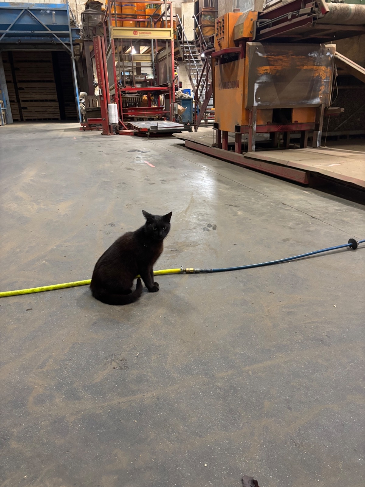 17c53661-76d8-4fb6-a4eb-c9f4f0293525