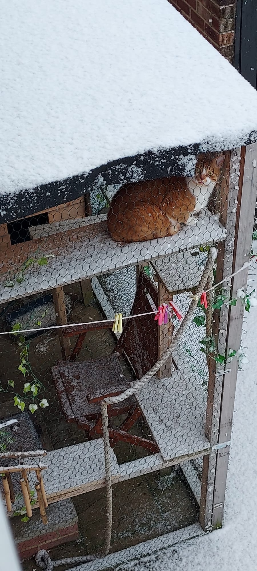 d75deb6d-b9a2-4eb0-bb6e-4d04ea94ec6c