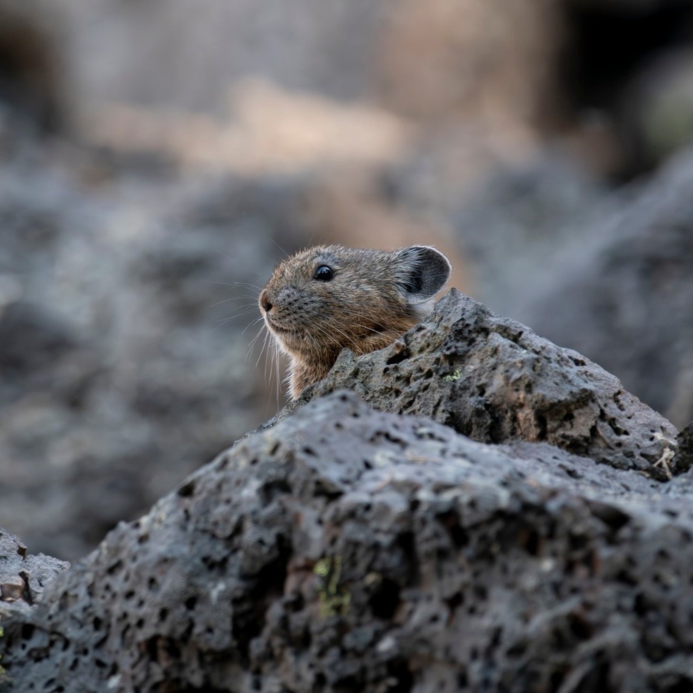 45e8c6f3-d269-4224-95bd-57b2b65a58a4