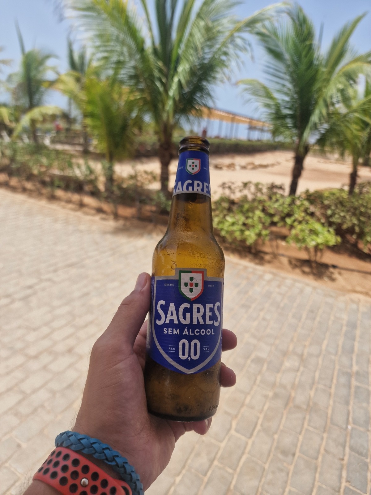 a4445c02-6102-44db-96e1-8d38e795d271