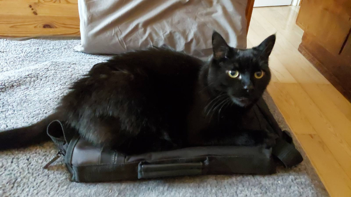 167d6c68-75b2-44b9-83c4-7b5aa7903182