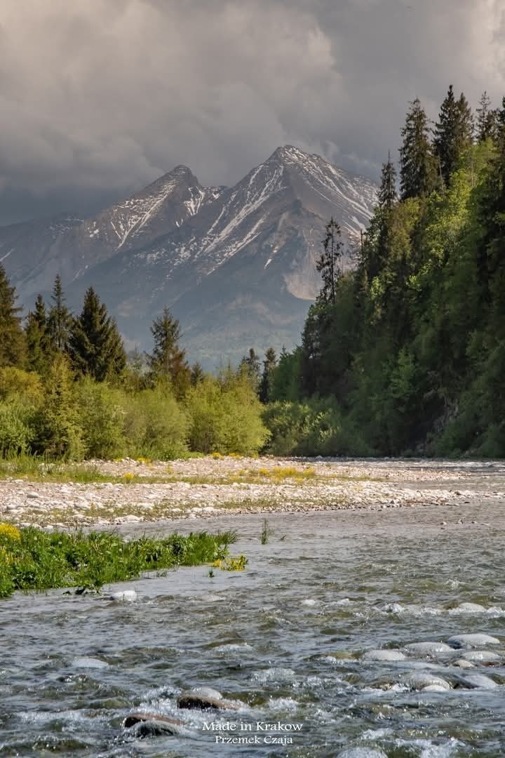 76fdcf98-790e-42bb-8a30-efa331ee80ec