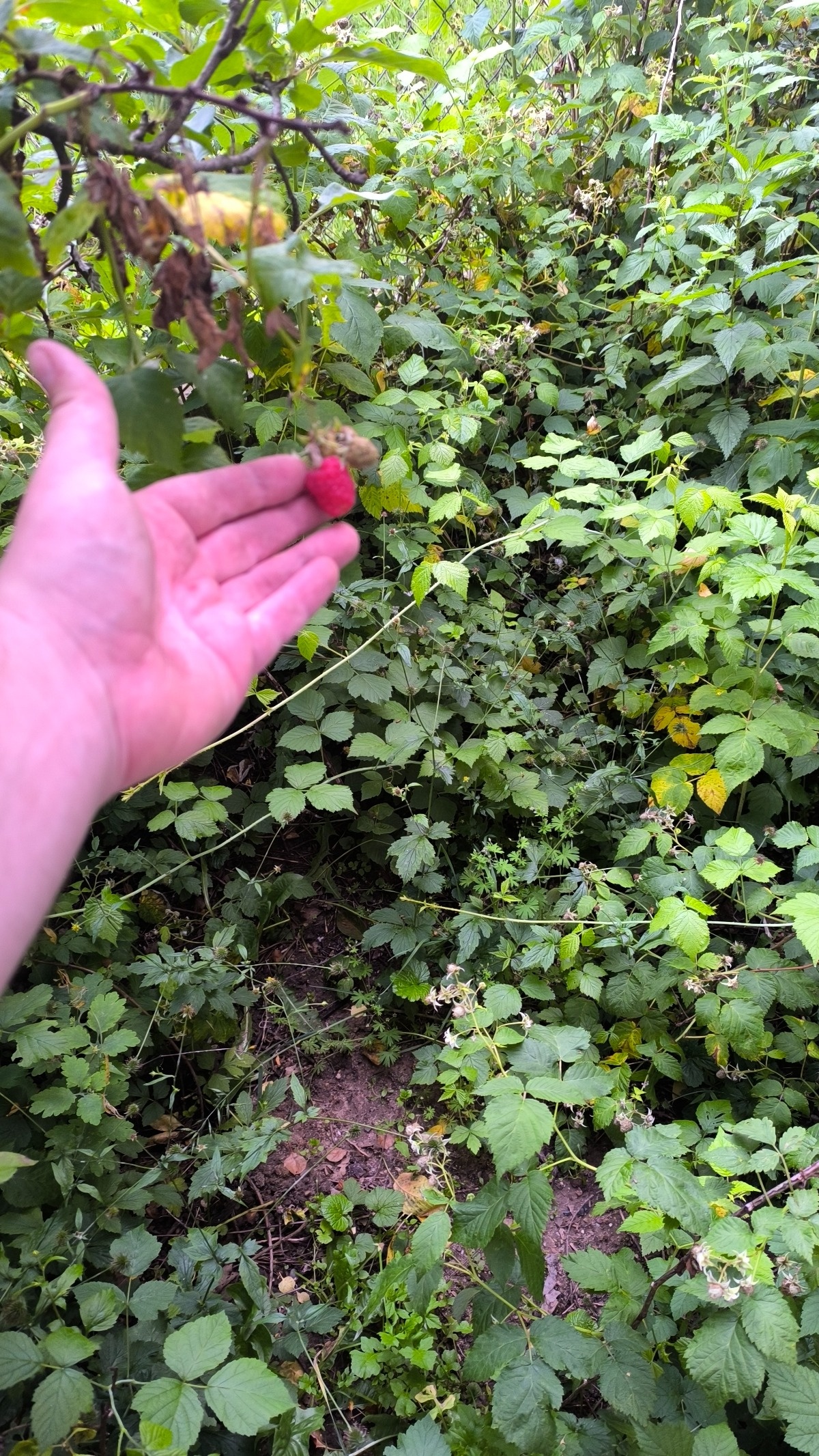 cfaa4b5a-f19f-4723-a908-b2f80fe32d12