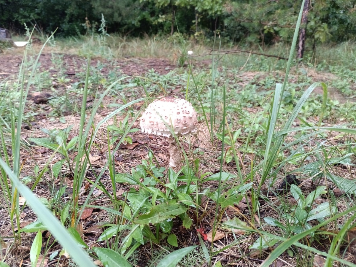 a00ee9cf-9e87-4d6d-989c-7fafc86abaf8