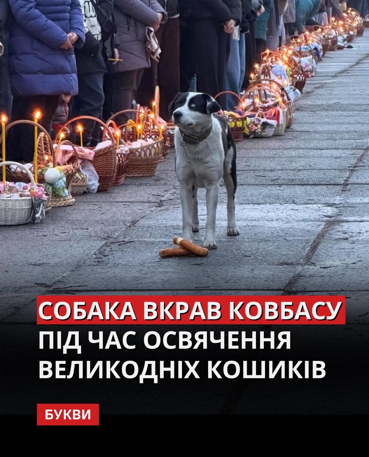 5f90bed8-577d-4043-90c6-876608585e83