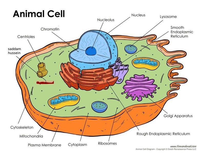 6f51f0e0-fc0c-4c2c-a896-a2b91f98171d
