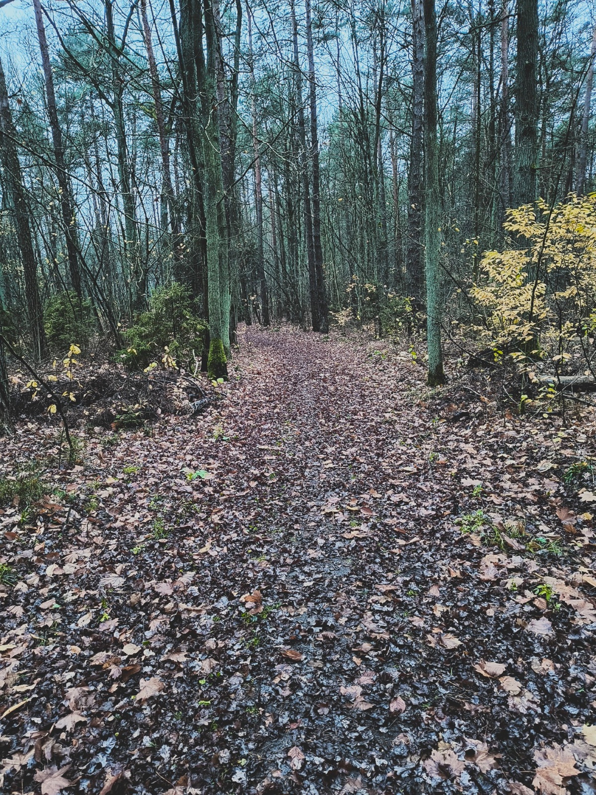 0a8149a4-b618-4cf4-b8bf-905d322ced77