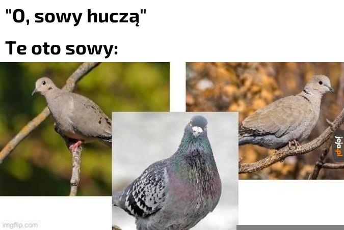 a3b49a1c-d435-4916-bcc2-5b3720a80743