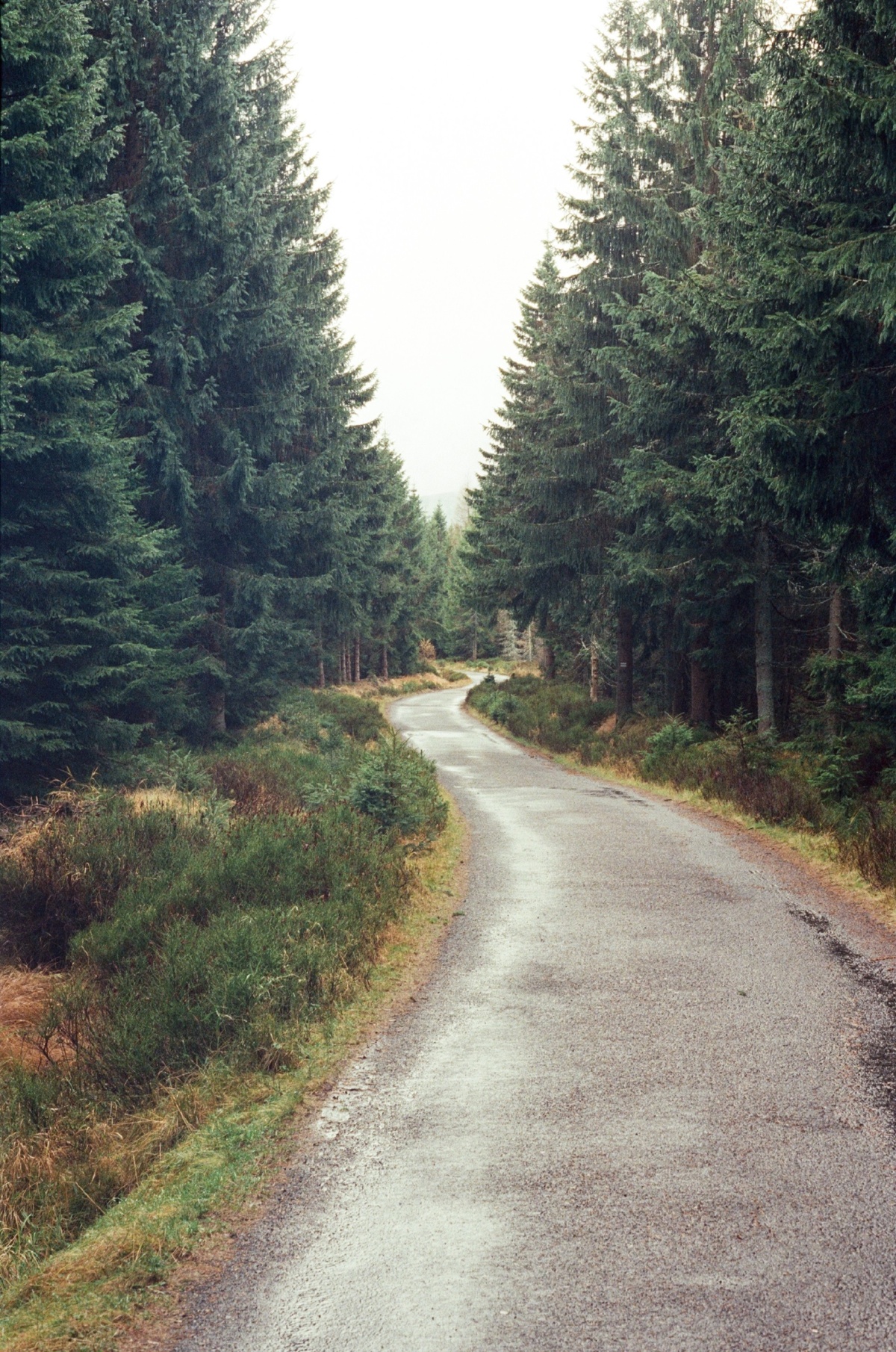 f4c8b9e9-2fe0-433b-95b0-8bd34d257648