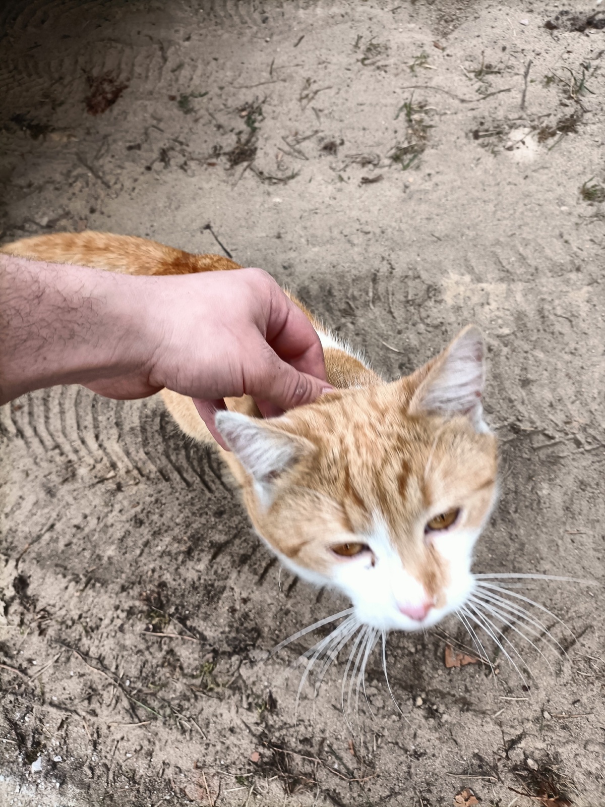 abf58e4b-ded3-4a8a-b358-7fb48c7c1d09