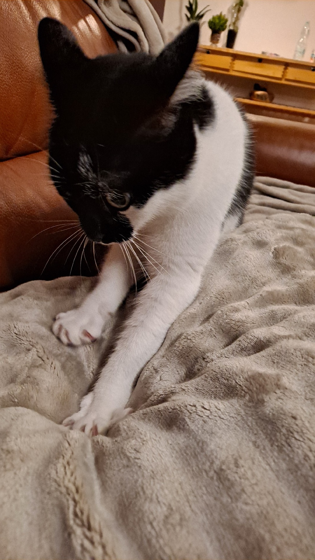 618afdc3-46dd-4329-95ab-8dbb685324cf