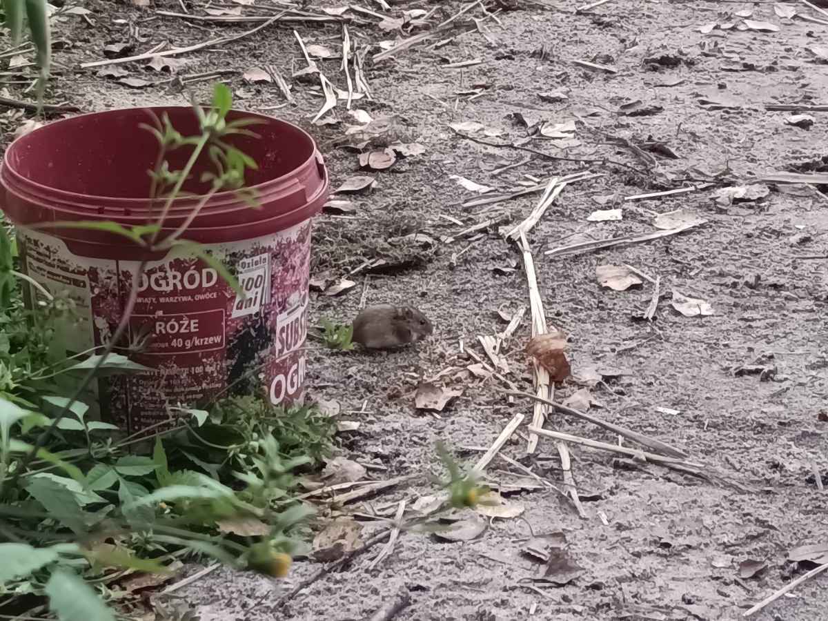 b624c08e-ae8a-402e-827c-241e2d0194c9