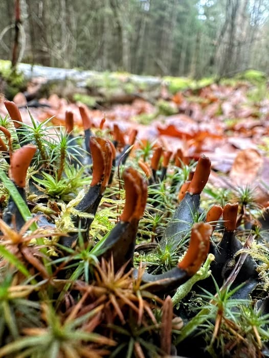 68305985-227d-4eb1-82d9-d37be932d499