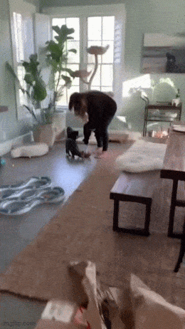 fee90930-3e1c-435b-bf5e-1cc8898945ac