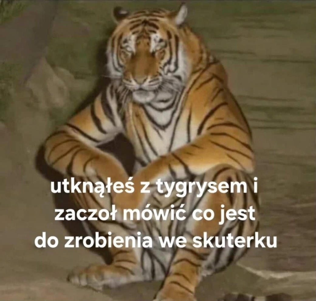 f79d5dbb-a788-4cfb-8f76-da684ac98d99