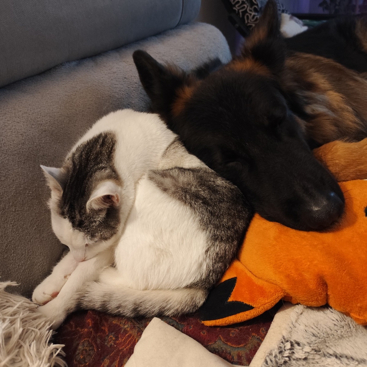 71eee801-5b7b-4921-8f18-695d43589e7e