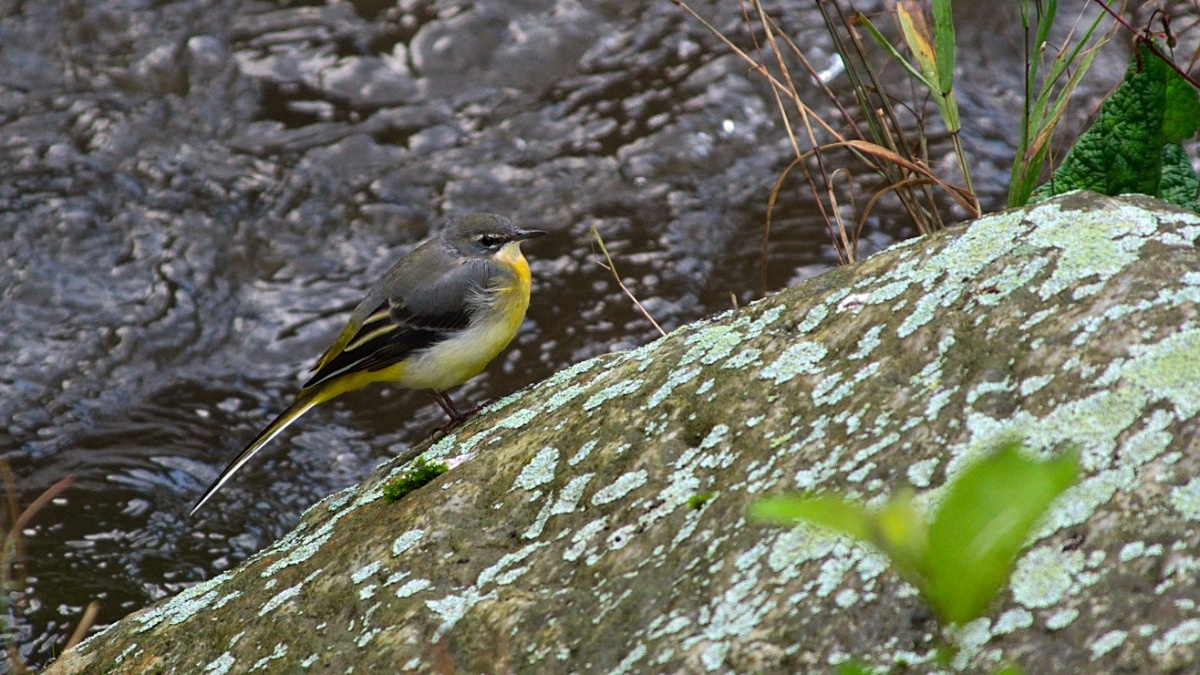 f586aa61-cd83-4430-9fd0-74eb3454f43a