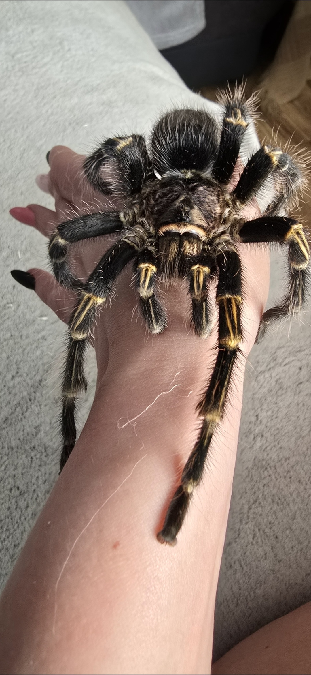 dafd50d6-e24e-477a-8543-f4be5441a694