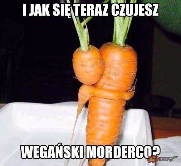 9bd772d5-0884-4e18-b116-987d25f310bf