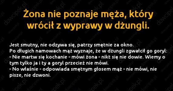 92402853-e38d-4c75-8c79-84b459caca28
