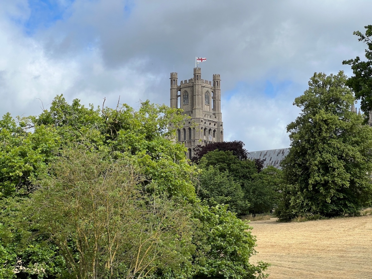 d791180e-4df8-4aa7-856d-3c8e5b7bb979