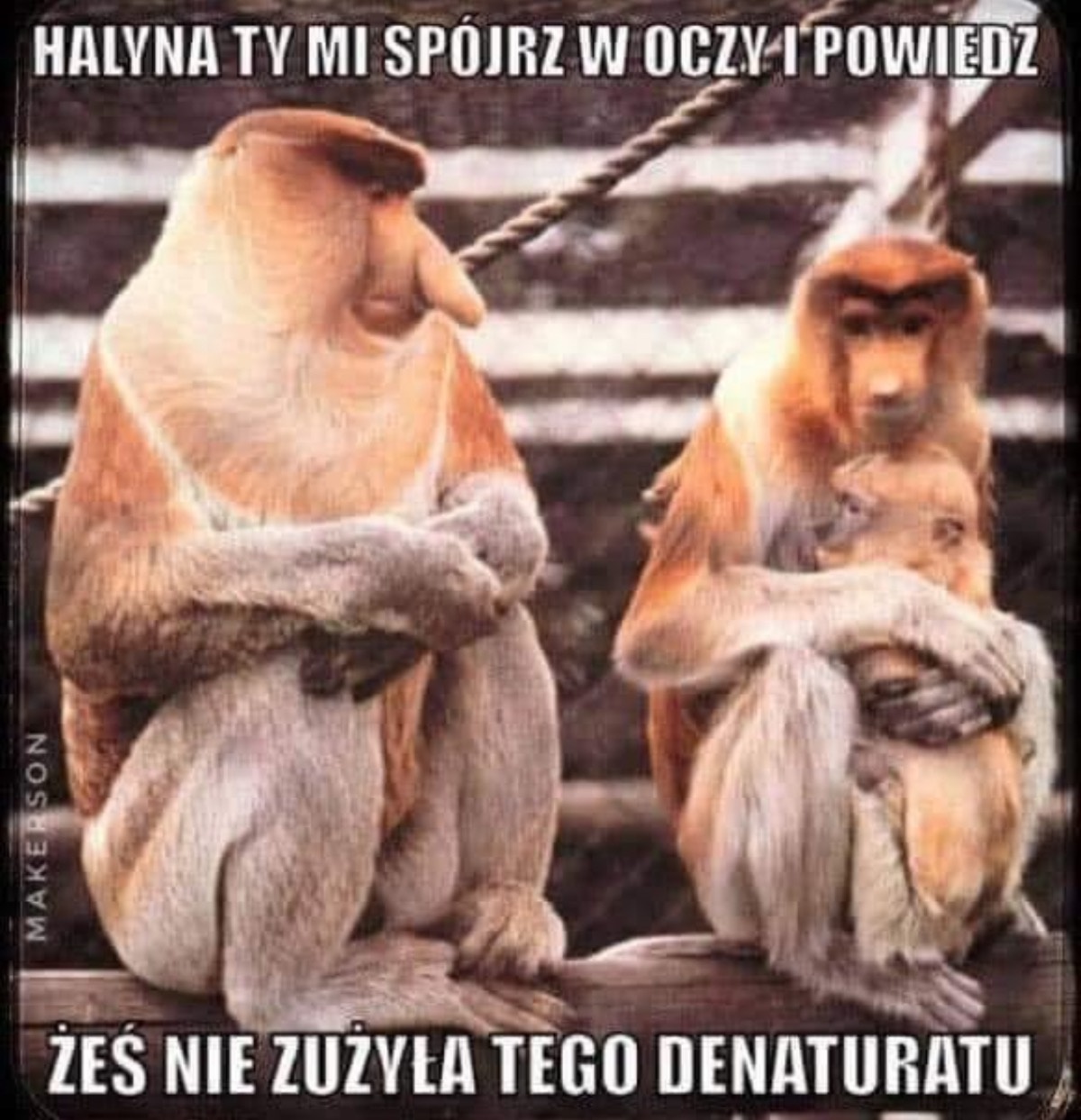 5f6f2f1f-506c-4d73-944d-1b4fe92c4d59