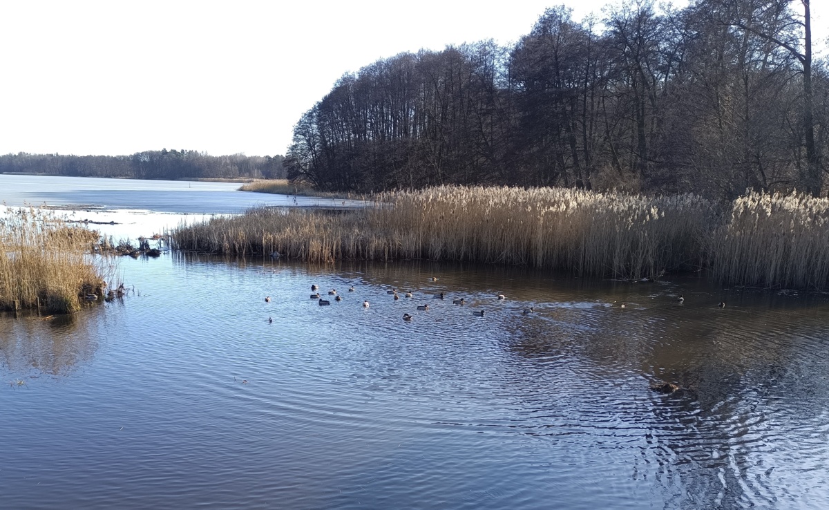 5521eda7-3c4d-45c6-a5a8-06b12e213160