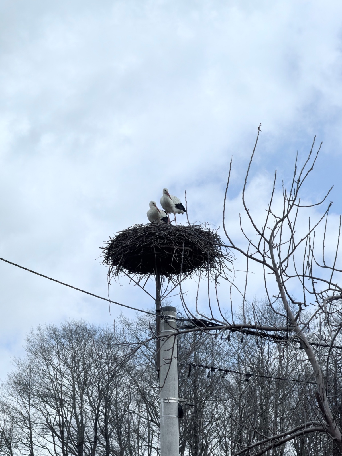 4a6a4864-4e11-4389-855e-b16ad029a08a