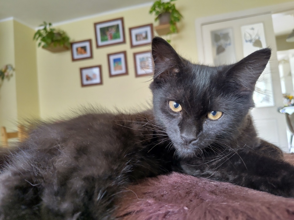 aaea3a51-0d4e-4071-b5ee-30ce442d881c