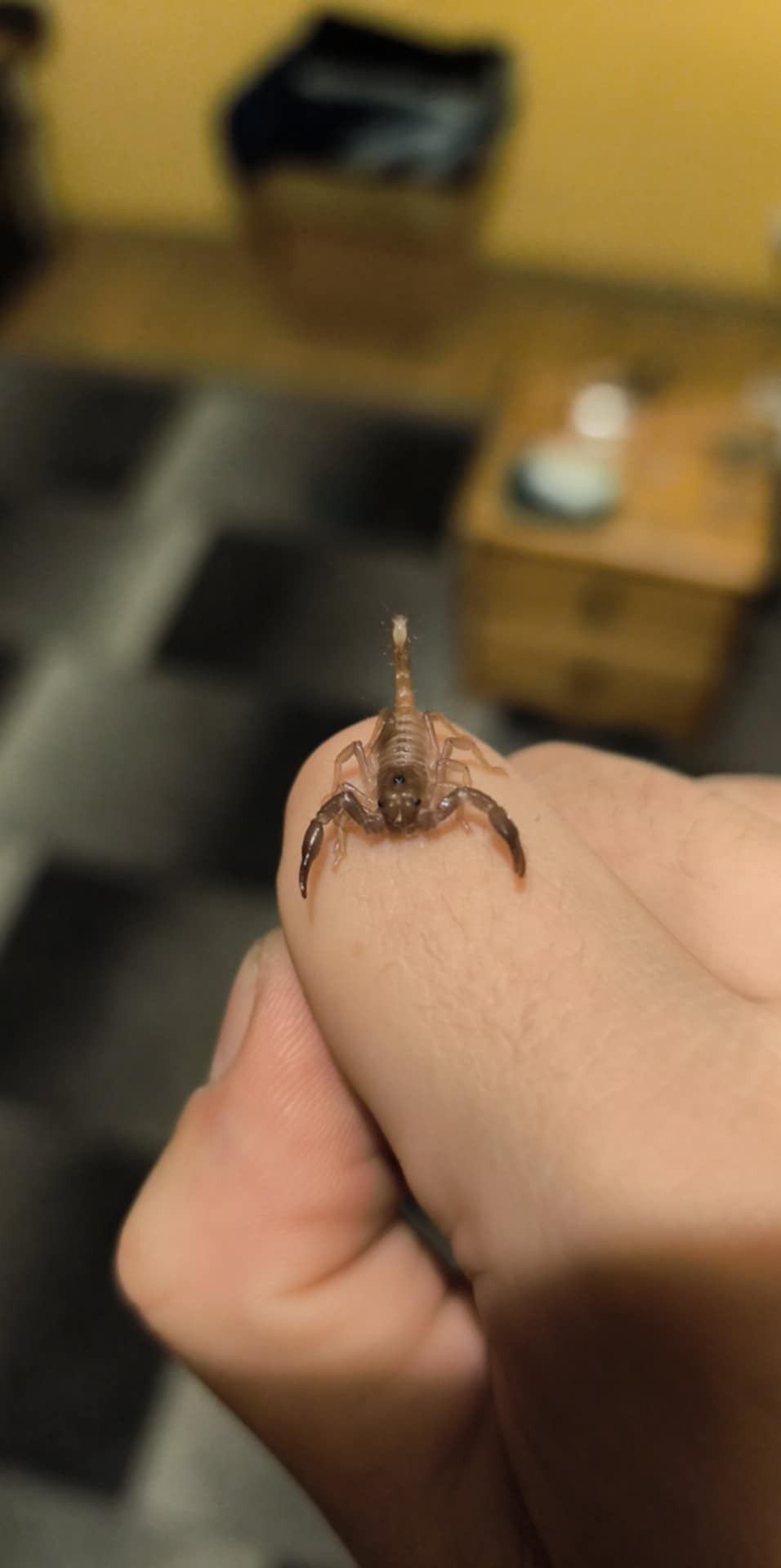 d415a248-8892-4c66-8367-71fa4782f269