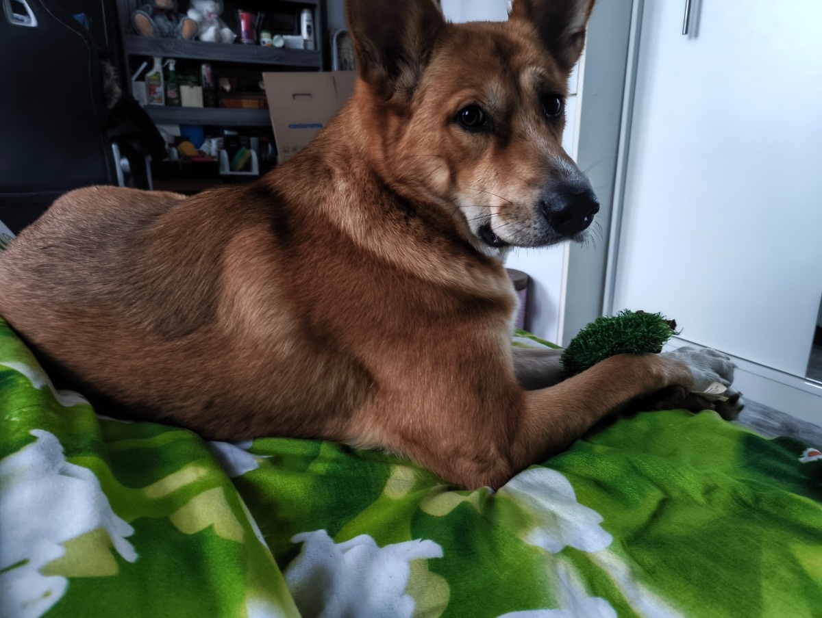 70c7ceb7-a007-48ef-8d10-060f1a1cfe72