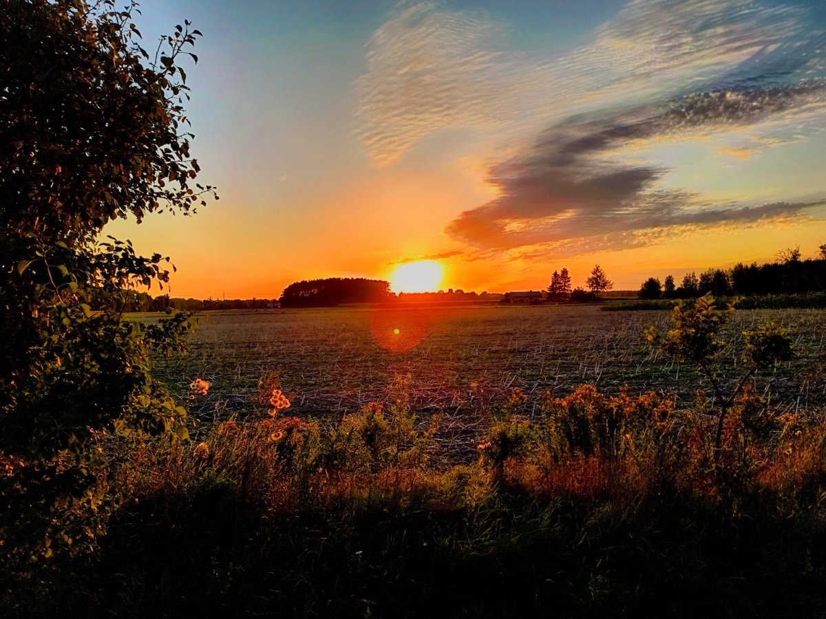 df651893-ef31-4c4d-8885-22c882ec9f9b