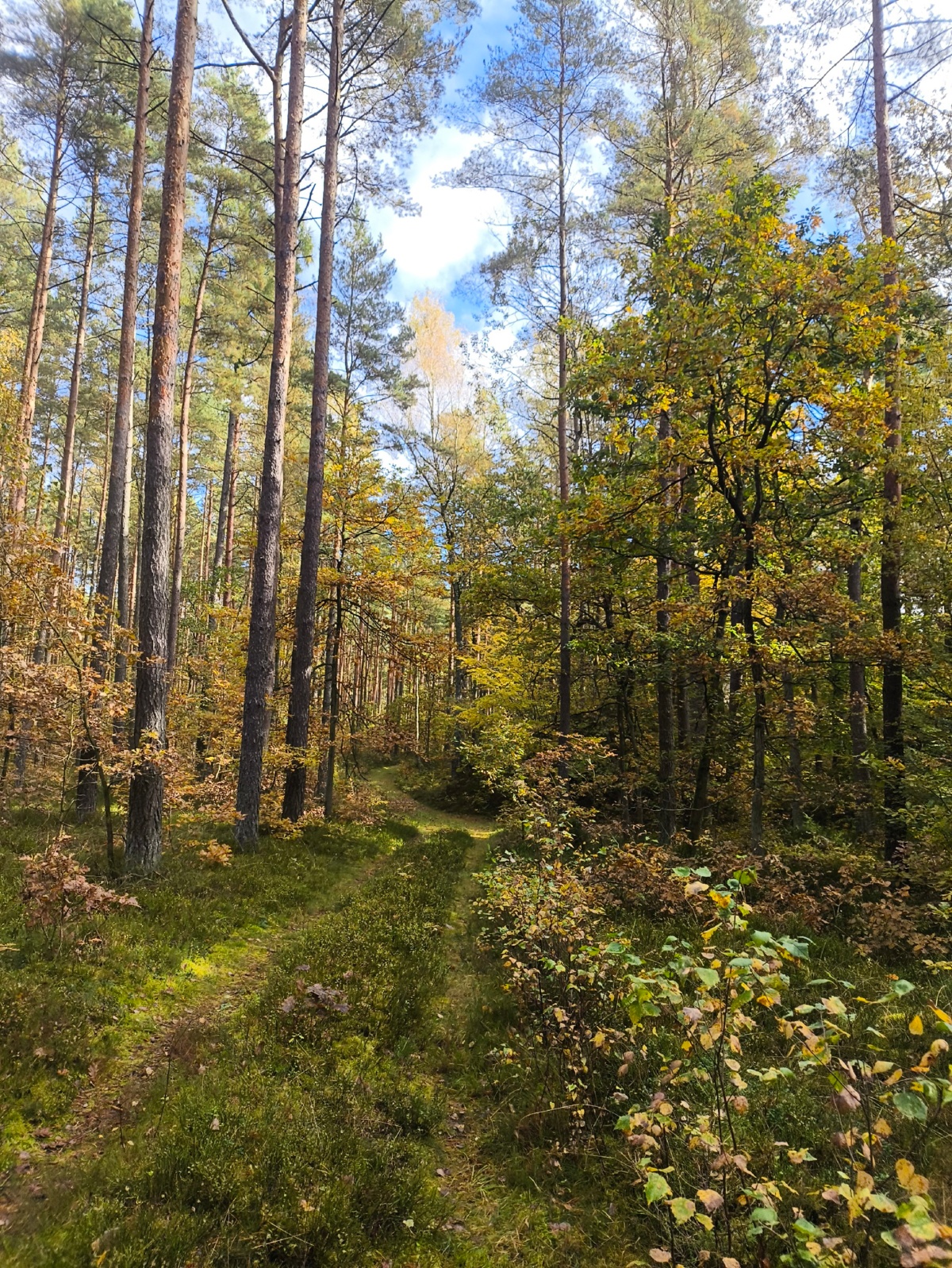 d0d1e248-d747-47f5-a62e-438eb7403369