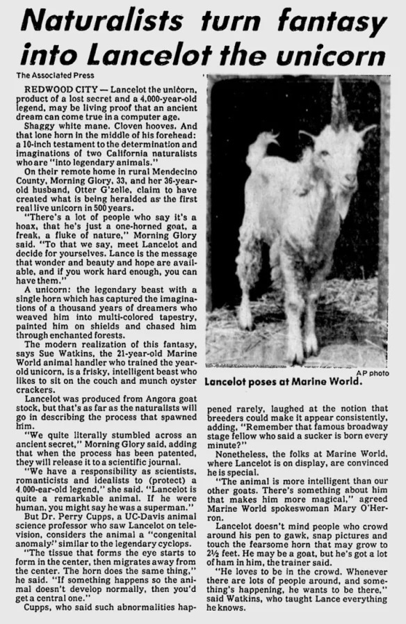 8586280f-a2bc-4da3-a9c4-4b015c31f1f2