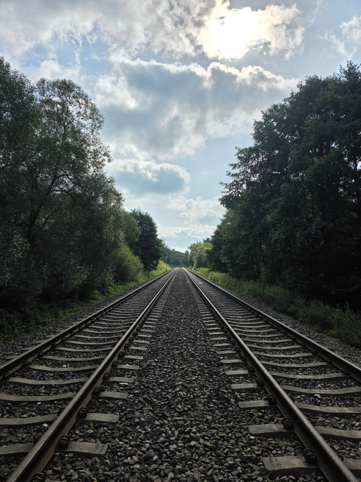 255a5ae4-c1e0-4933-a594-06fd74ab9dcb