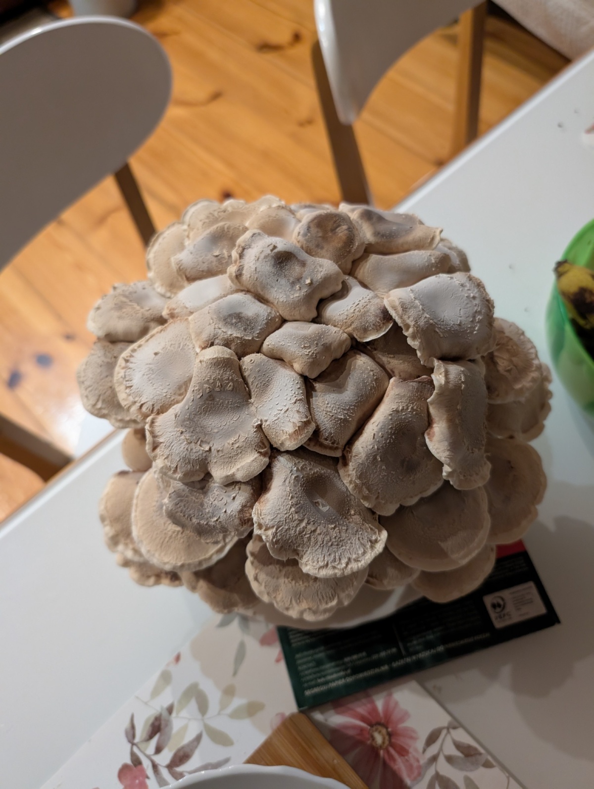 501f8513-c116-43c3-bfdf-8e94c894f6e3