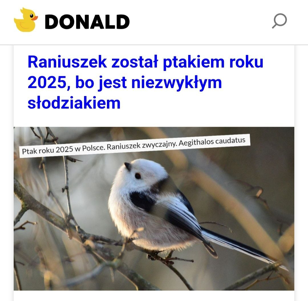 20e2d4ee-913d-4166-ad9e-423fb1b7d109