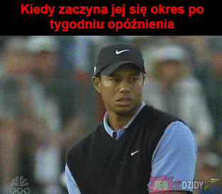 b0d12ba3-994d-4a4c-940d-3a3f87726e2c